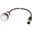 Pushbutton, Flat, momentary, 1 N/O, Cable (black) with M12A plug, 4 pole, 1 m, White, Blank, Bezel: titanium thumbnail 1