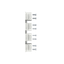 KIT EF FP XT6 4pcs thumbnail 5