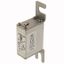 Fuse-link, high speed, 160 A, AC 690 V, DIN 000, 21 x 40 x 100 mm, aR, DIN, IEC, single indicator thumbnail 3