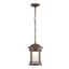 Outdoor Salamanca Pendant Lamp Brown thumbnail 3