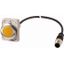 Indicator light, Flat, Cable (black) with M12A plug, 4 pole, 1 m, Lens yellow, LED white, 24 V AC/DC thumbnail 1